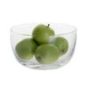 Anna Medium Bowl -Dartington Sale Store bd3597