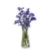 Florabundance Bluebell Vase 5 Florabundance Bluebell Vase -Dartington Sale Store bluebell