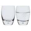 Eleanor Tumbler, Set Of 2 4 Eleanor Tumbler, Set Of 2 -Dartington Sale Store eleanor tu81905 tumbler pair co