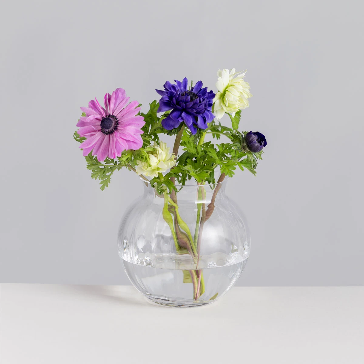 Florabundance Anemone Vase 1 Florabundance Anemone Vase