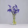 Florabundance Bluebell Vase 6 Florabundance Bluebell Vase -Dartington Sale Store florabundance bluebells clear square