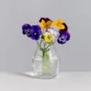 Florabundance Pansy Vase 8 Florabundance Pansy Vase -Dartington Sale Store florabundance pansy square