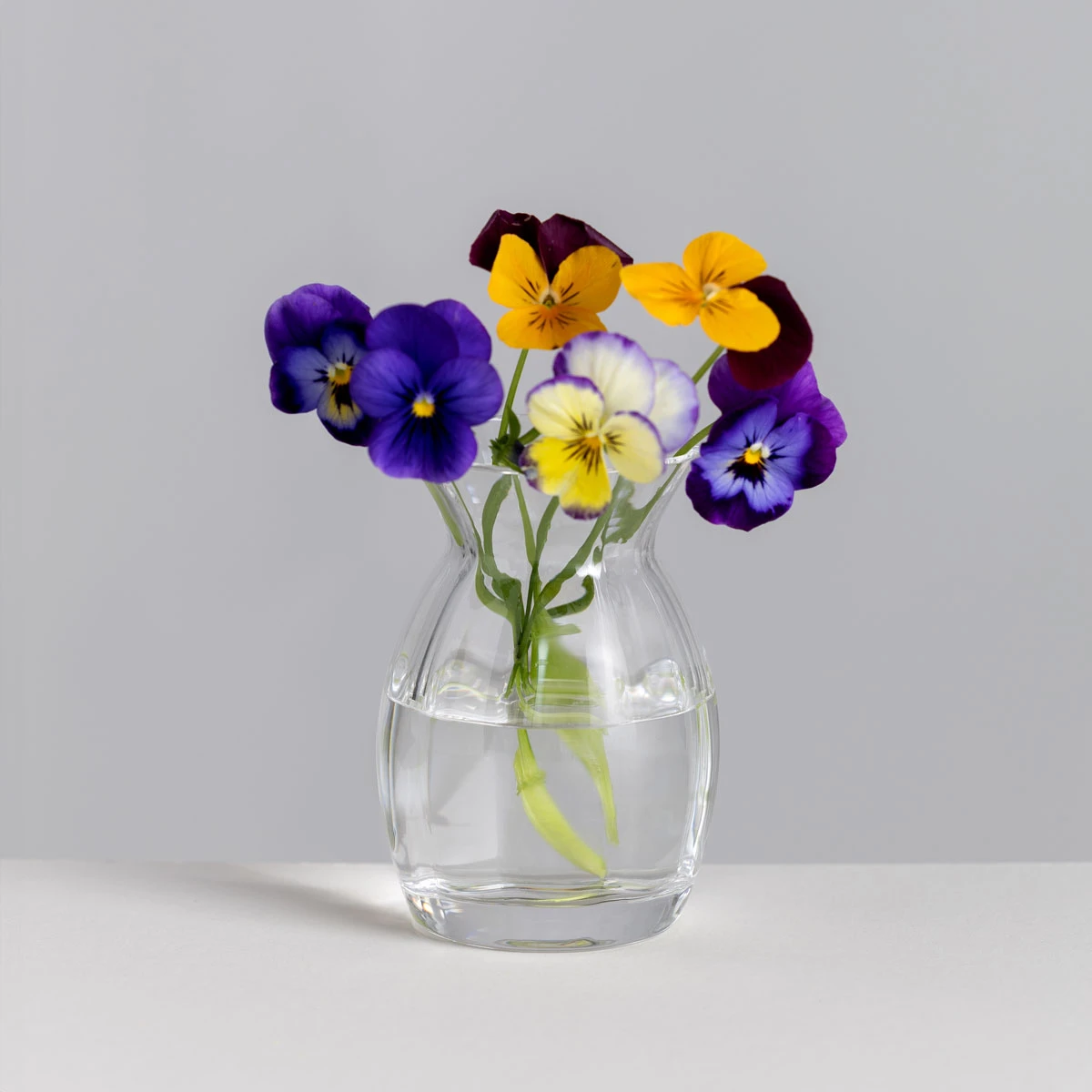 Florabundance Pansy Vase 1 Florabundance Pansy Vase