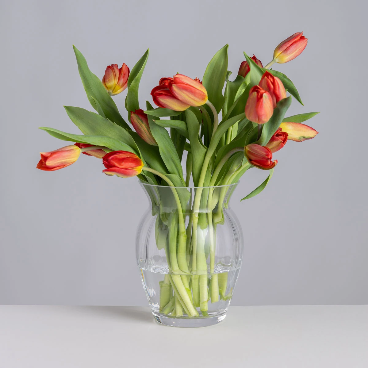 Florabundance Tulip Vase 1 Florabundance Tulip Vase