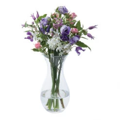 Flower Garden Foliage