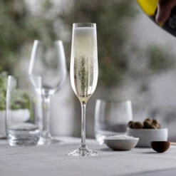 Wine & Dine Champagne Flute, Set Of 6 -Dartington Sale Store flute wd