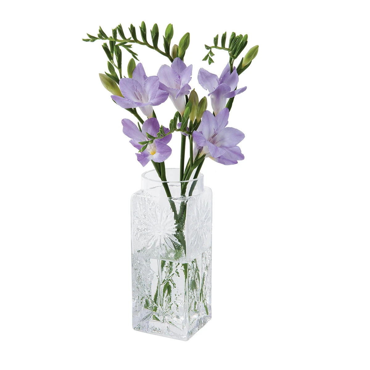 Small Clear Marguerite Vase 1 Small Clear Marguerite Vase