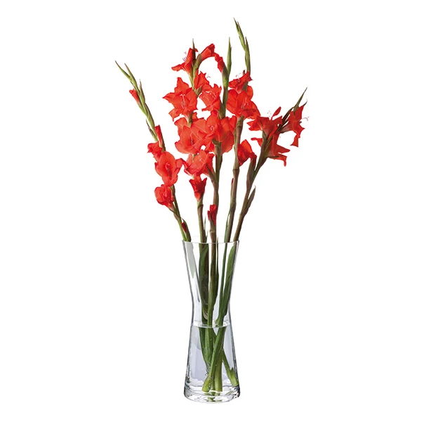 Florabundance Gladioli Vase 2 Florabundance Gladioli Vase - Image 2