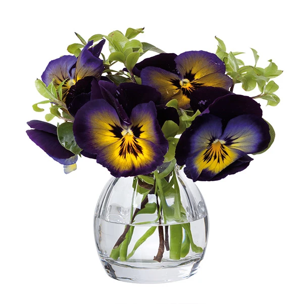 Florabundance Pansy Vase 2 Florabundance Pansy Vase - Image 2