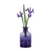 Flower Bottles - Anemone/Amethyst -Dartington Sale Store purple 1