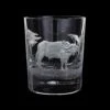 Hand Engraved Majestic Wildlife Buffalo Tumbler -Dartington Sale Store rb45 5 majestic wildlife buffalo co lr
