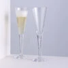 Sharon Champagne Flute, Set Of 2 -Dartington Sale Store sharon celeb chmpagne pair square