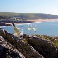 Wine Master White Wine Glass, Set Of 2 7 Wine Master White Wine Glass, Set Of 2 -Dartington Sale Store st1402 p mood 1