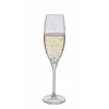 Wine Master Flute Champagne Glass -Dartington Sale Store st1405 p single