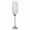 Glitz Champagne Flute -Dartington Sale Store st2557 5 p single empty