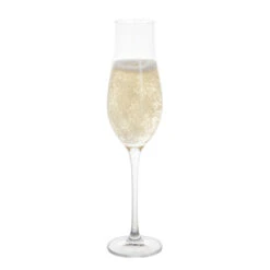 Juliet Champagne Flute, Set Of 4 5 Juliet Champagne Flute, Set Of 4 -Dartington Sale Store st3580 4 4pk juliet flute full co