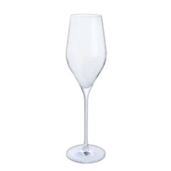 Wine & Bar Prosecco Glass, Set Of 2 -Dartington Sale Store wb426 p wine bar prosecco empty cov2 lr