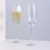 Wine Master Flute Champagne Glass, Set Of 2 -Dartington Sale Store wine master champagne pair square