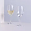 Wine Master White Wine Glass, Set Of 2 -Dartington Sale Store wine master white wine pair square